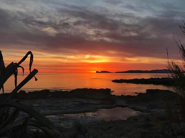 Il Tramonto Balaguer Lägenhet Alghero Exteriör bild